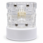 Maqueta Dental Transparente de Ortodoncia con Brackets y Microtornillos